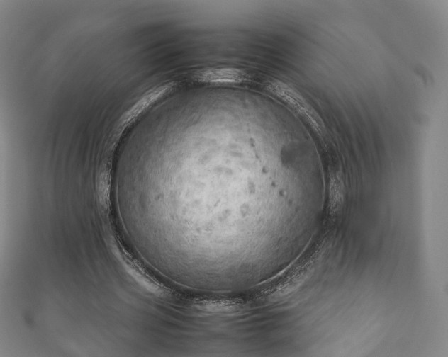 X0000111350533200907171145