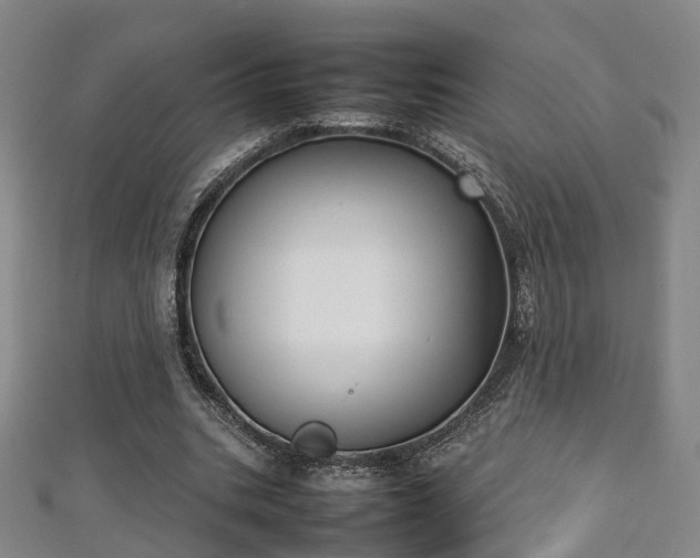 X0000111350535200907171145