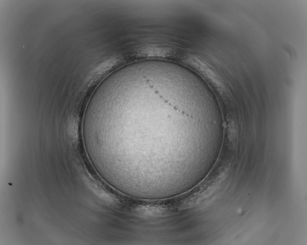 X0000111350537200907171145