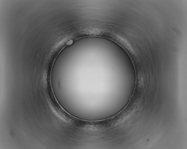 X0000111350538200907171145