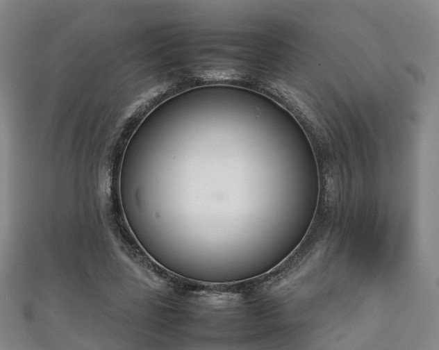 X0000111350539200907171145