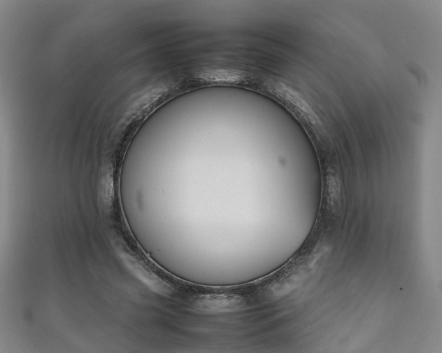 X0000111350541200907171145