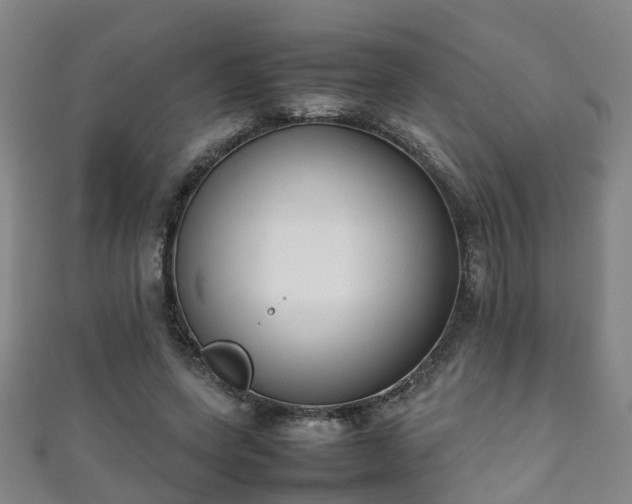 X0000111350543200907171145