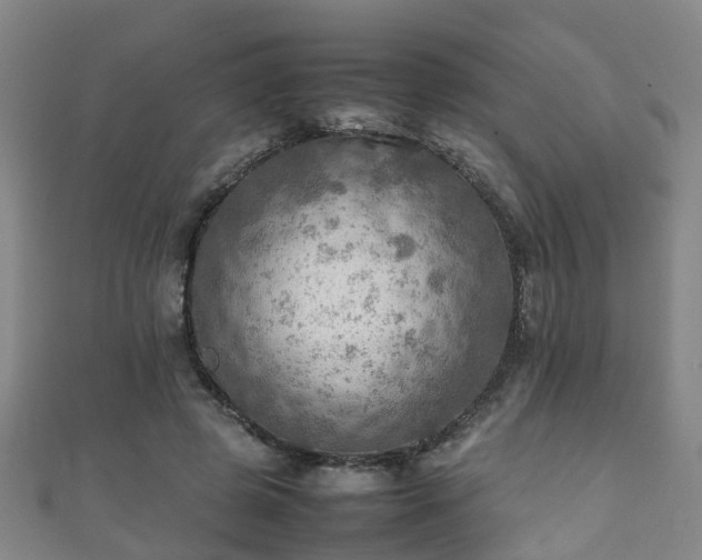 X0000111350545200907171145