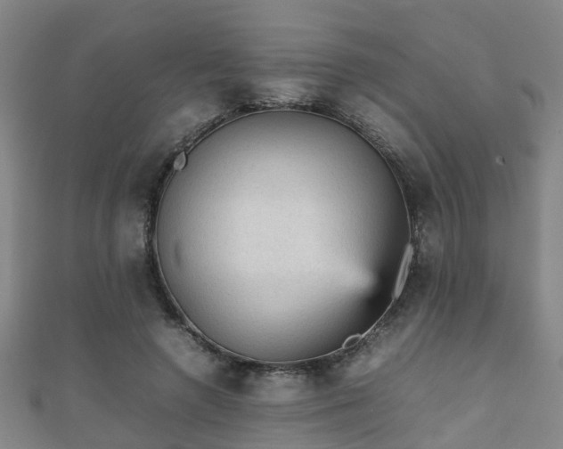 X0000111350546200907171145