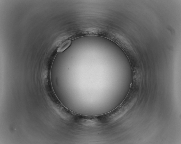 X0000111350548200907171145