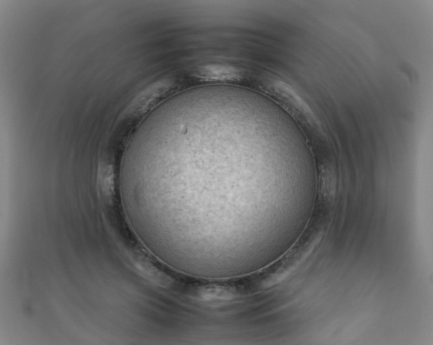 X0000111350549200907171145