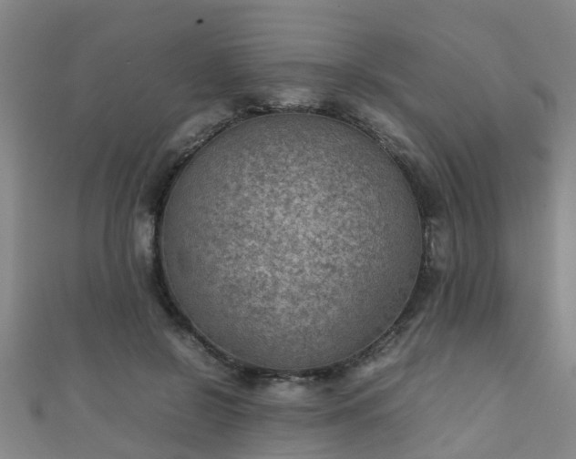 X0000111350550200907171145