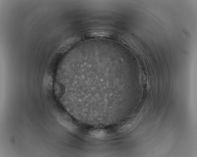 X0000111350551200907171145