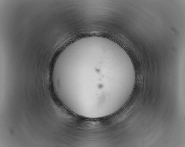 X0000111350552200907171145