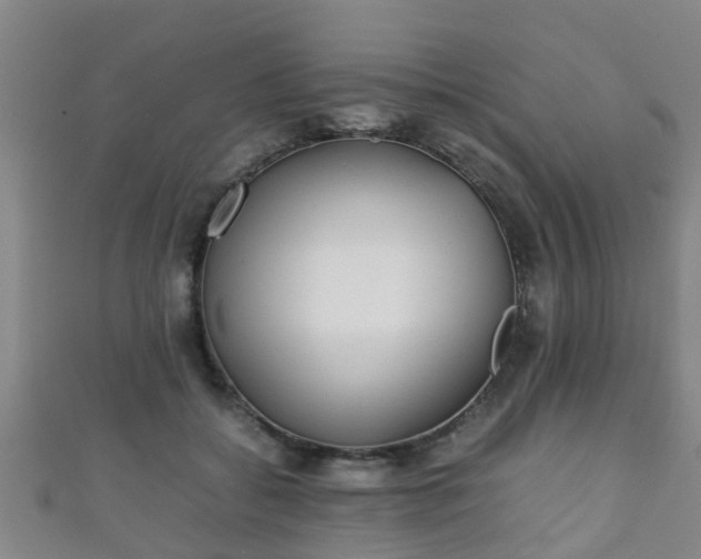 X0000111350556200907171145