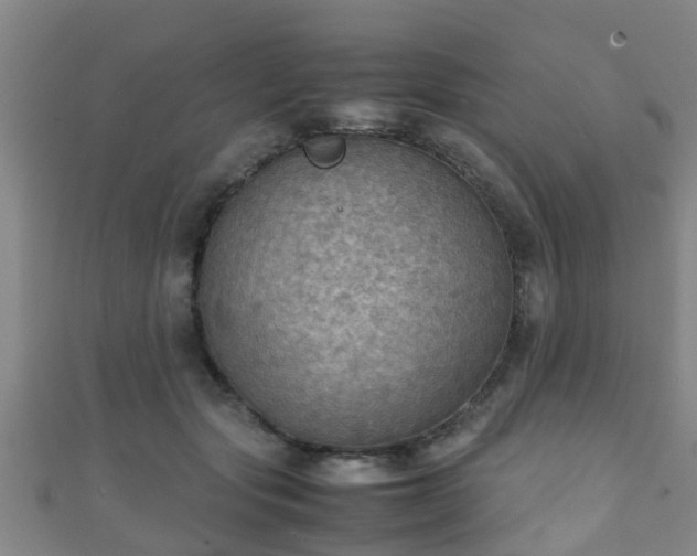 X0000111350557200907171145