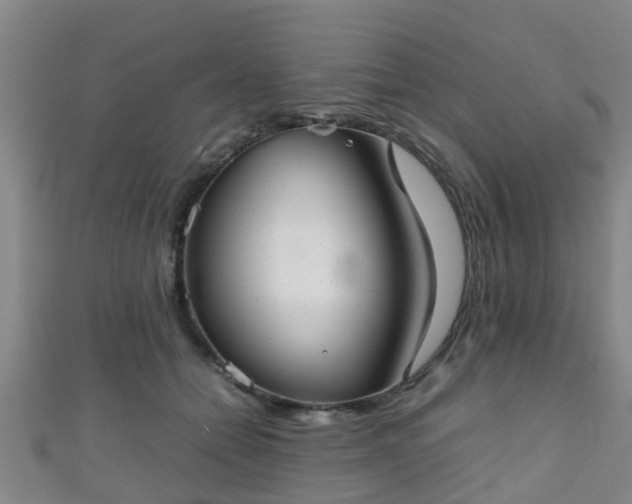 X0000111350558200907171145