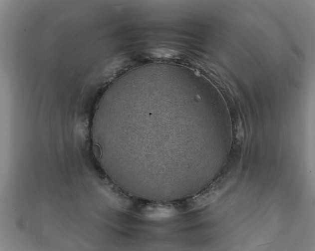 X0000111350559200907171145