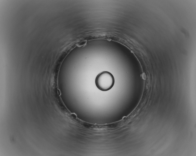 X0000111350560200907171145