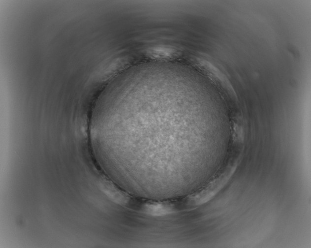 X0000111350561200907171145