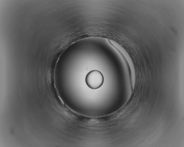 X0000111350562200907171145