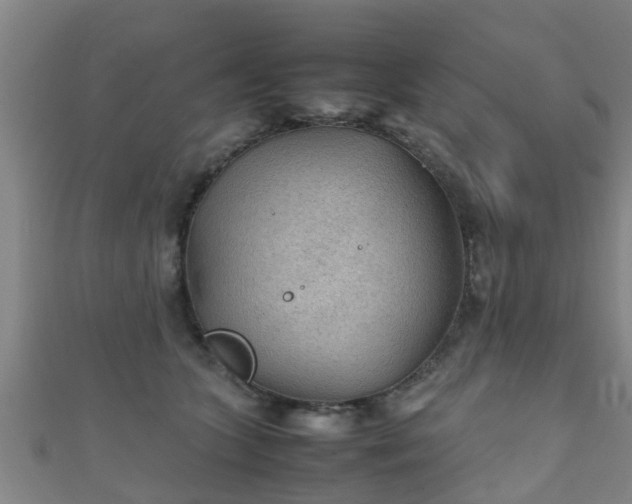 X0000111350563200907171145