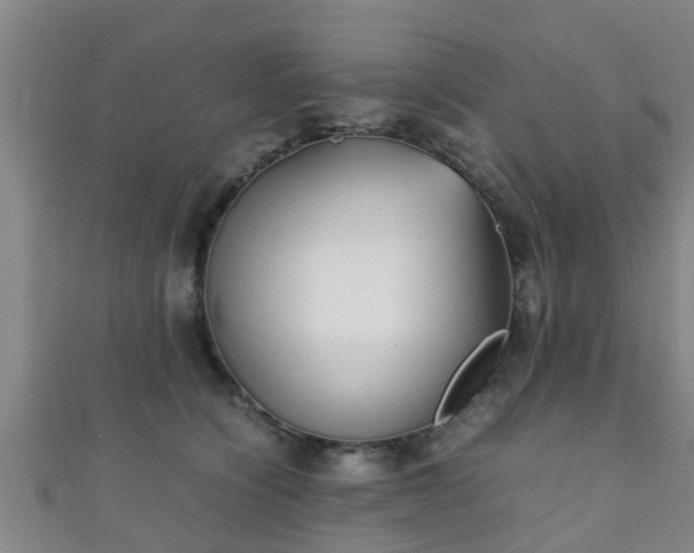 X0000111350564200907171145