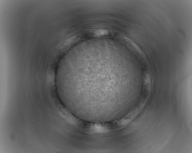 X0000111350565200907171145