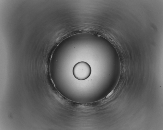 X0000111350568200907171145