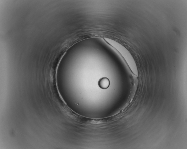 X0000111350570200907171145