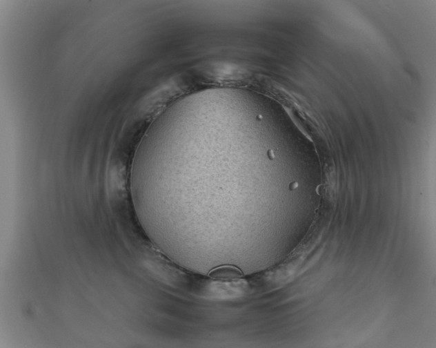 X0000111350571200907171145