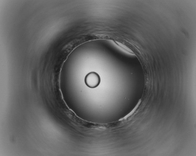 X0000111350572200907171145