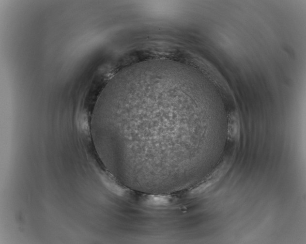 X0000111350573200907171145