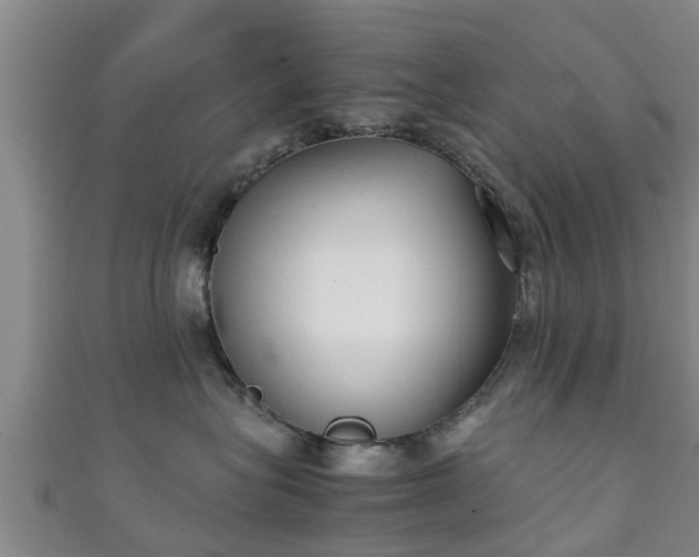 X0000111350575200907171145