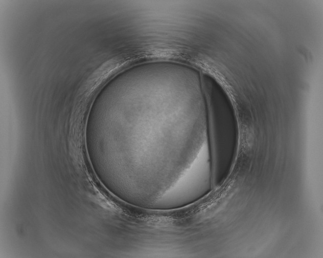 X0000111350577200907171145