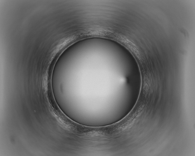 X0000111350578200907171145