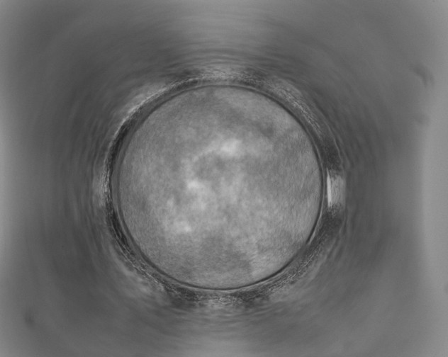 X0000111350579200907171145