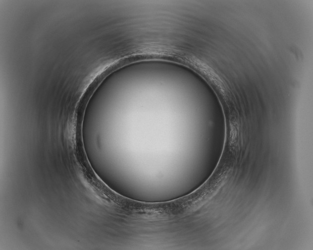 X0000111350580200907171145