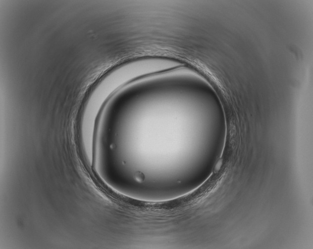 X0000111350581200907171145