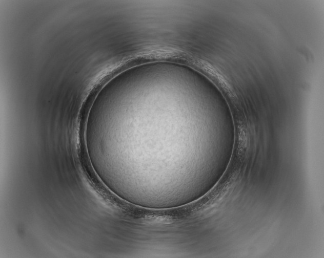 X0000111350582200907171145