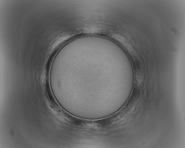 X0000111350583200907171145