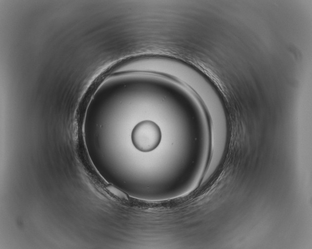 X0000111350584200907171145