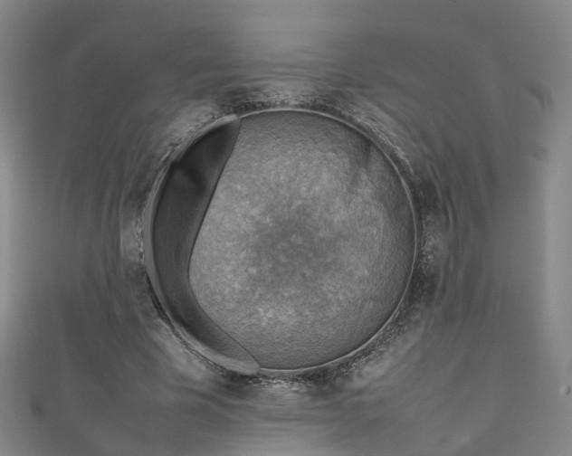 X0000111350585200907171145