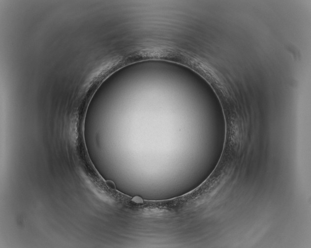 X0000111350586200907171145