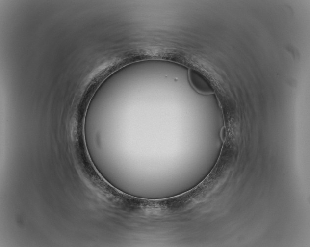 X0000111350587200907171145