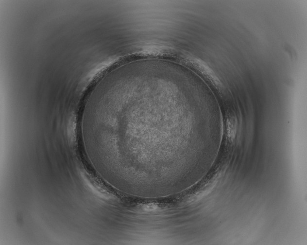 X0000111350588200907171145