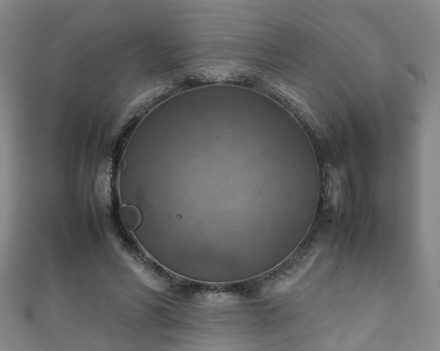 X0000111350590200907171145