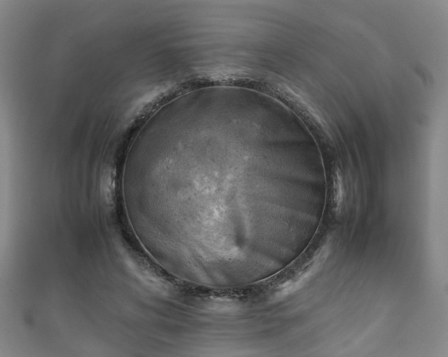 X0000111350592200907171144