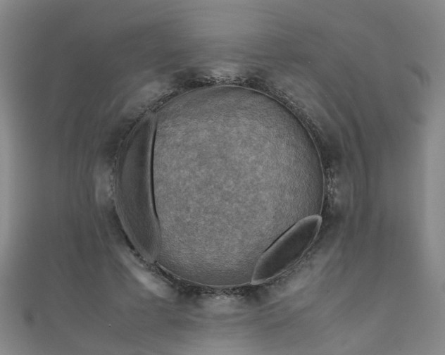 X0000111350593200907171144