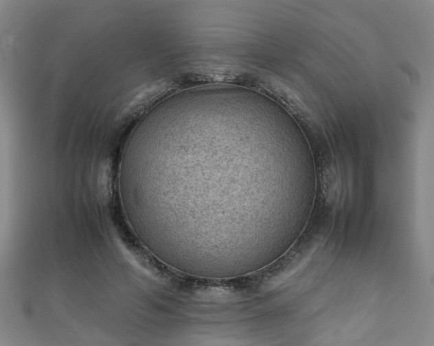 X0000111350594200907171144