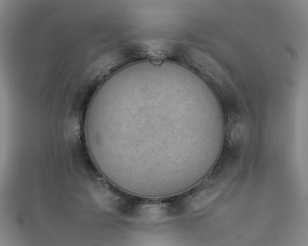 X0000111350595200907171144