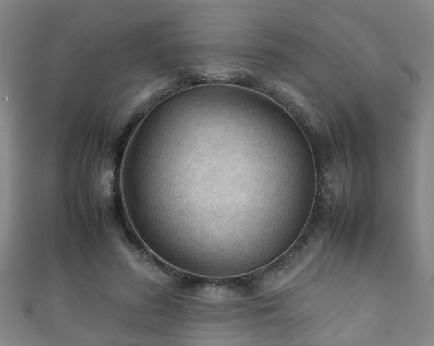 X0000111350596200907171144