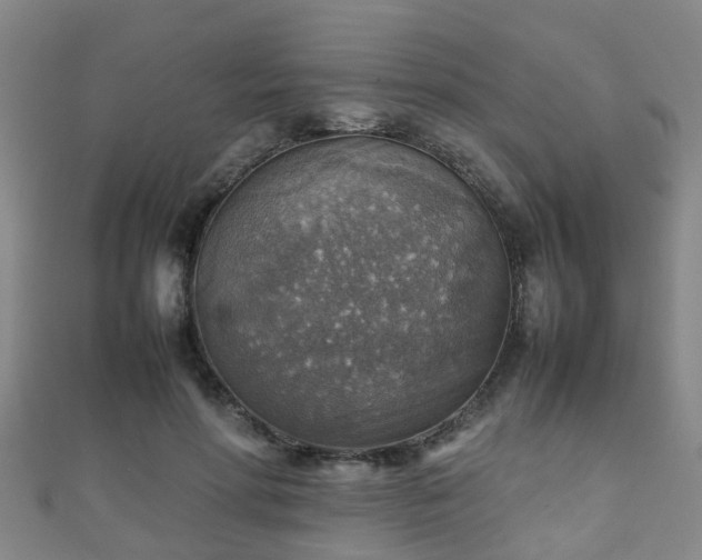 X0000111350598200907171144