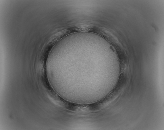 X0000111350599200907171144